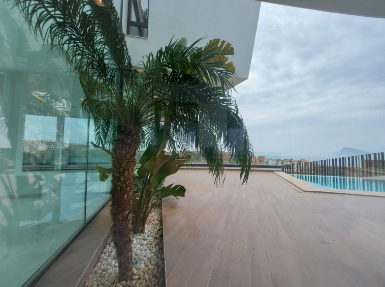Real Estate Alonso Mateo11