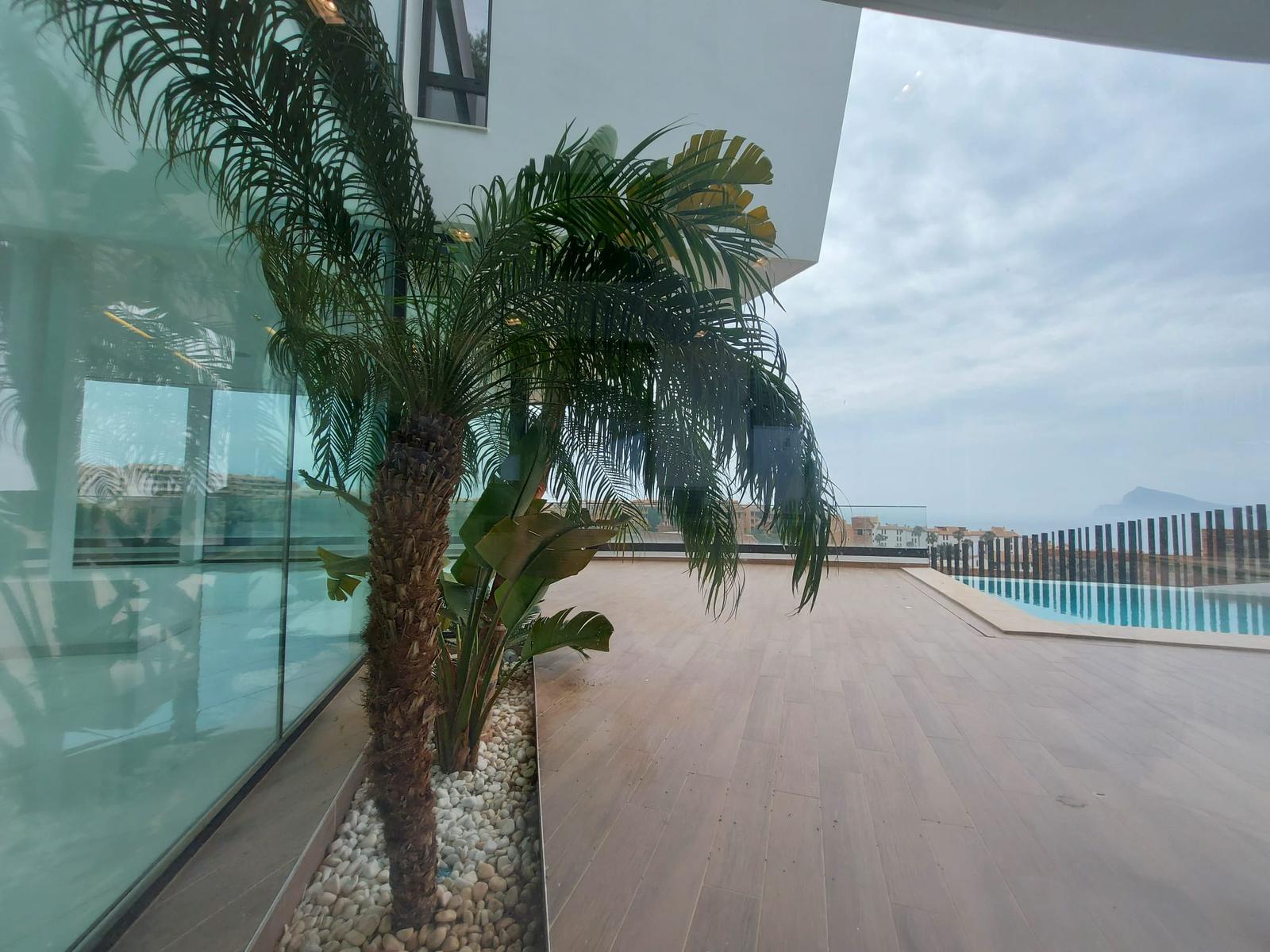 Real Estate Alonso Mateo11